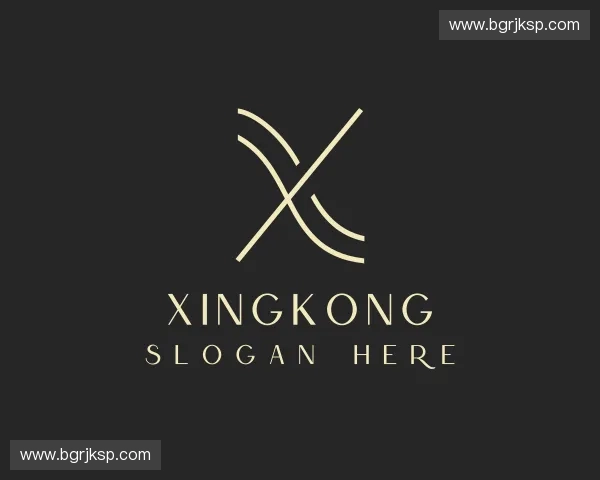 初识xingkong官网